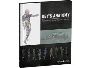 Rey's Anatomy