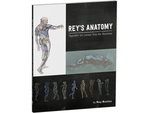 Rey's Anatomy