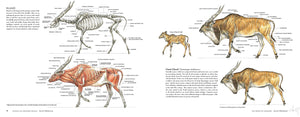 Science of Creature Design