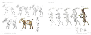 Science of Creature Design