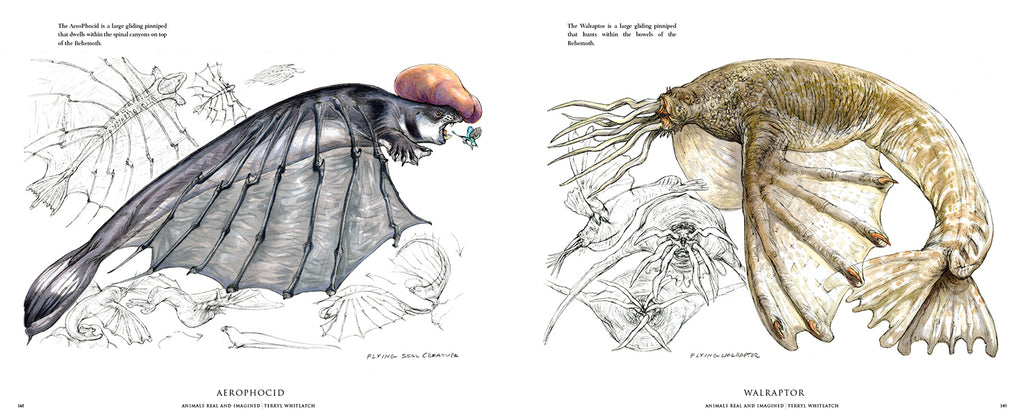 Flying Animals Structures Real Flying Animals
