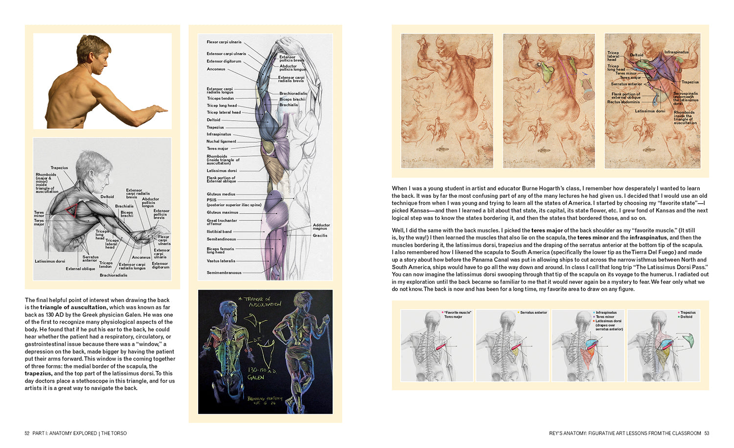 Rey's Anatomy – Design Studio Press